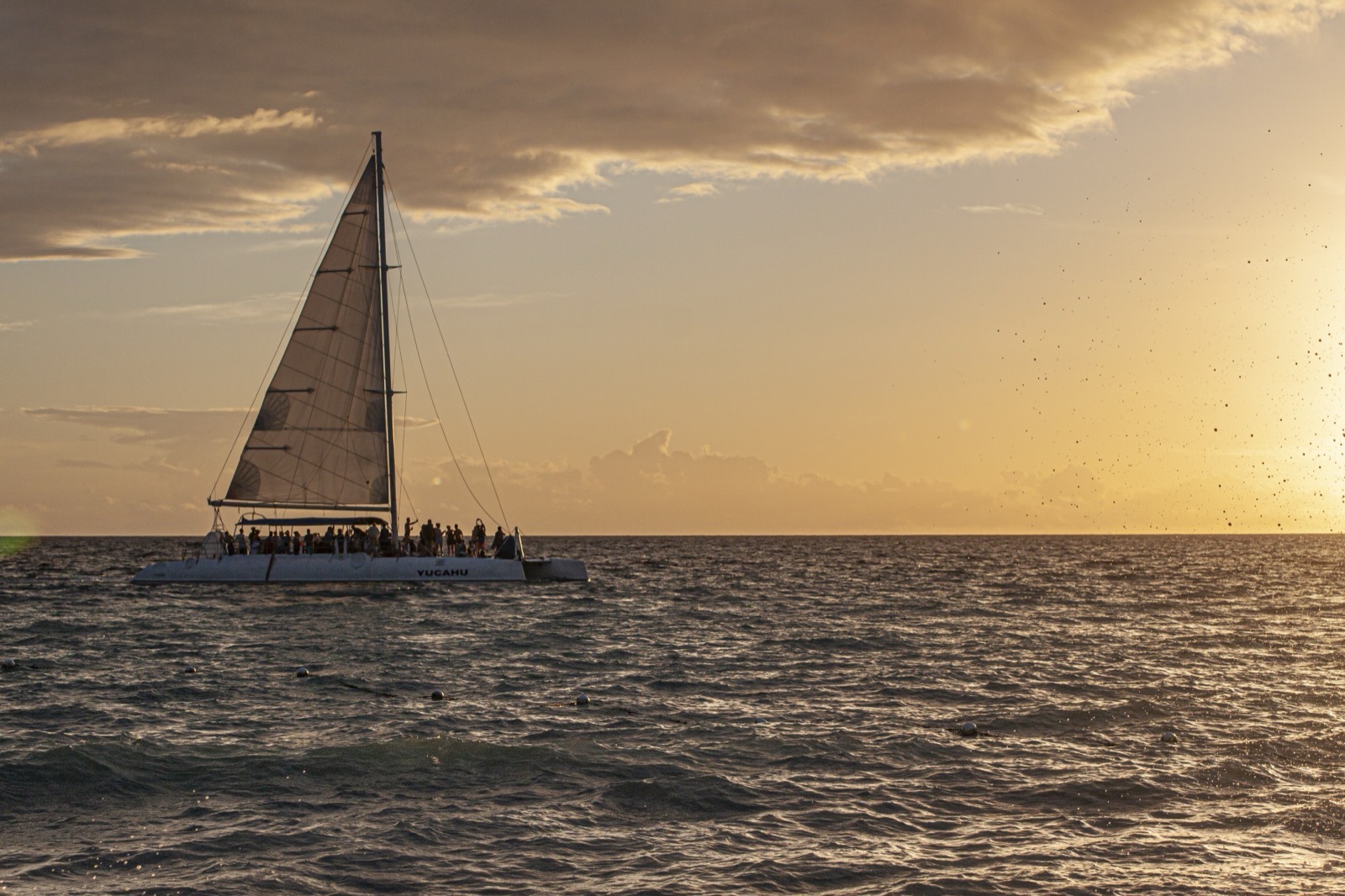 Catamarán al atardecer